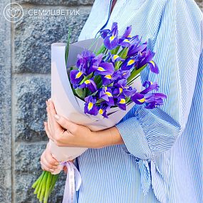 Монобукет  из 15 синих ирисов в сиреневой пленке