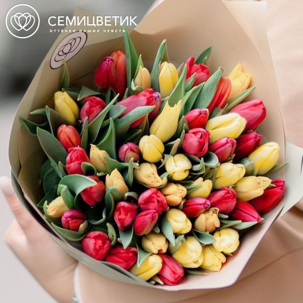 Букет из 51 желтого и красного тюльпана 40 см в кремовой пленке