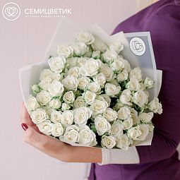 Букет из 25 белых кустовых роз Snowflake 40 см (Кения) в дизайнерской пленке