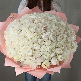 Букет из 51 бело-кремового пиона Bowl of cream Premium