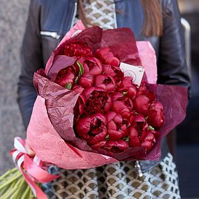 Букет из 19 бордовых пионов Premium