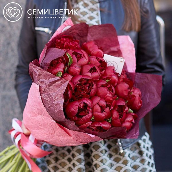 Букет из 19 бордовых пионов Premium