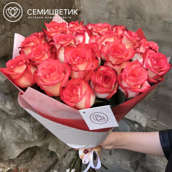 Букет из 25 белых с красной каймой роз Blush 60 см (Эквадор)