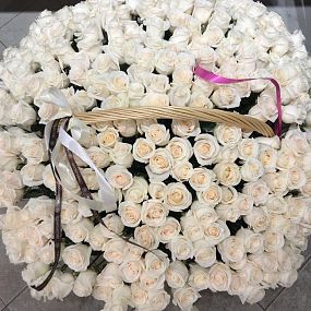 Композиция из 301 белой розы (Эквадор) в корзине