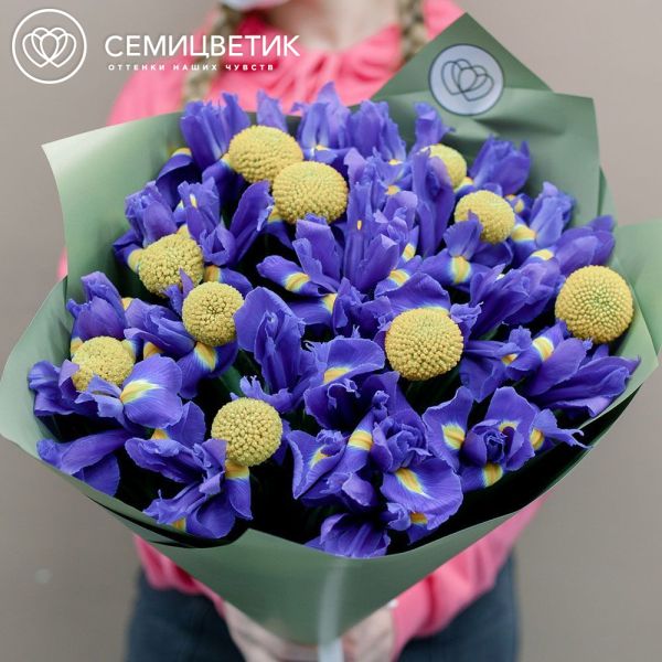 Букет из 25 синих ирисов и 10 краспедий
