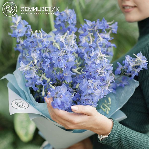 Букет из 15 дельфиниумов