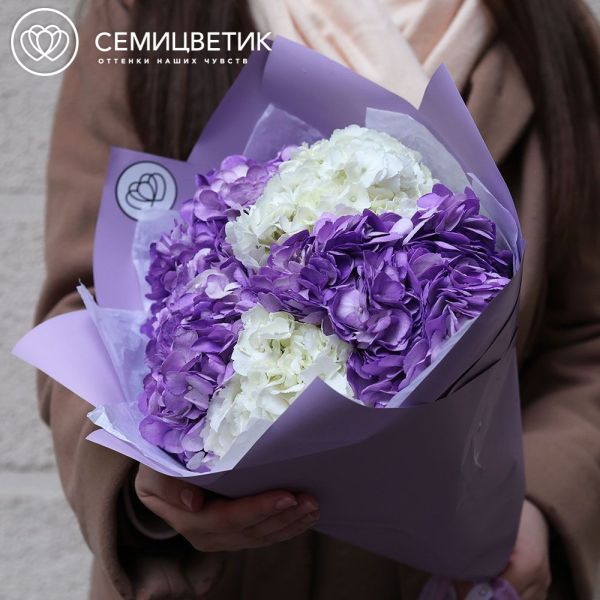 Букет из 5 белых и фиолетовых гортензий в сиреневой пленке