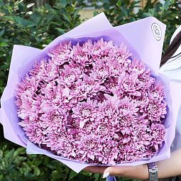 Букет из 15 розовых кустовых хризантем