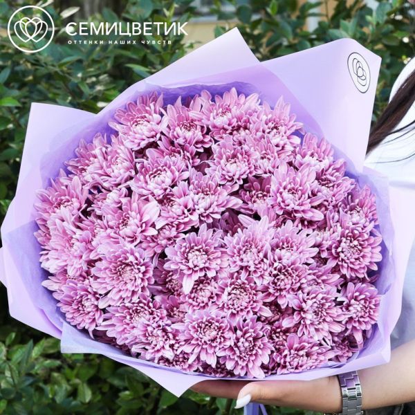 Букет из 15 розовых кустовых хризантем
