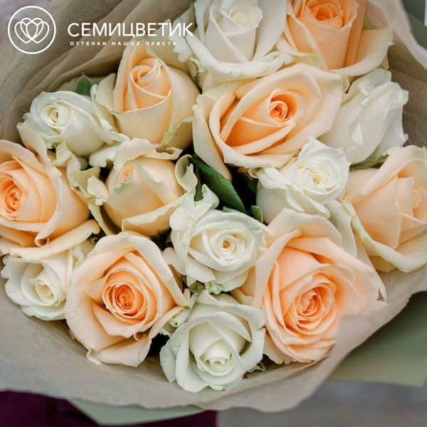 Букет из 15 белых и кремовых роз 35-40 см (Россия) в зеленой пленке
