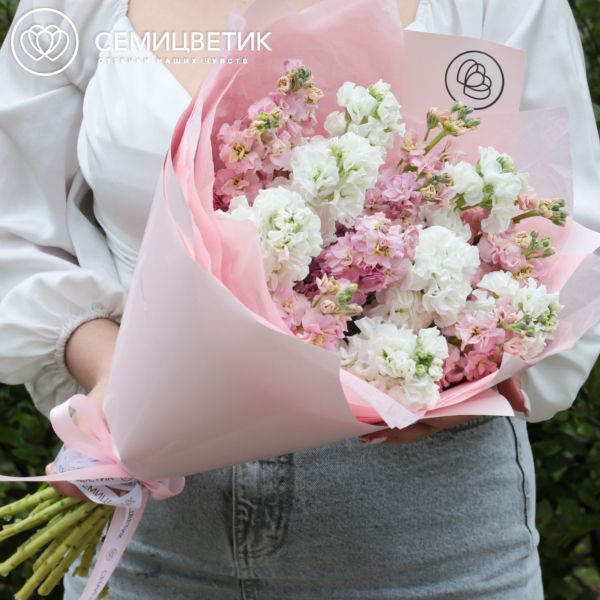 Букет из 15 розовых и белых махровых маттиол