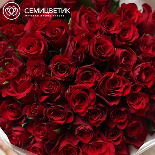 Букет из 51 красной розы 40 см (Кения) в белой круглой упаковке