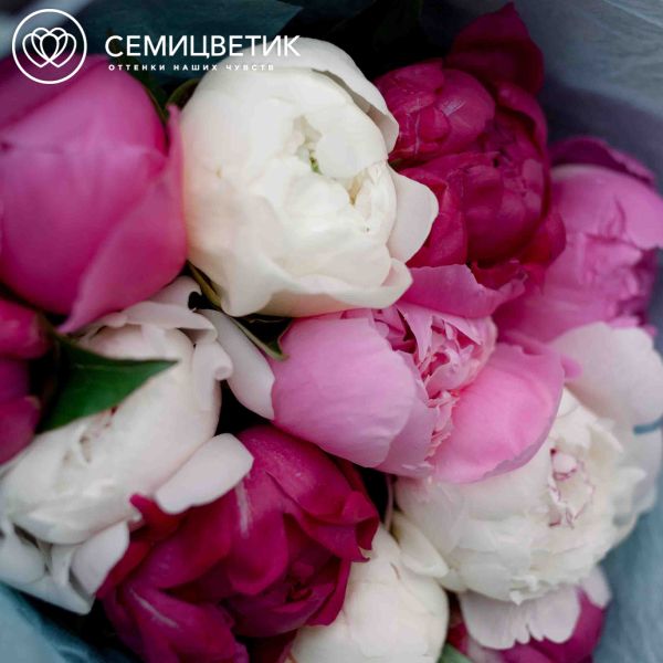 Букет из 11 пионов микс Standart Plus