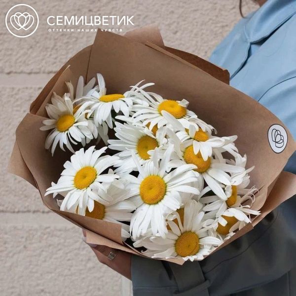 Букет из 15 одноголовых ромашек
