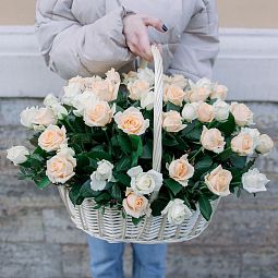 Композиция из 51 белой и кремовой розы (Россия) с фисташкой в корзине