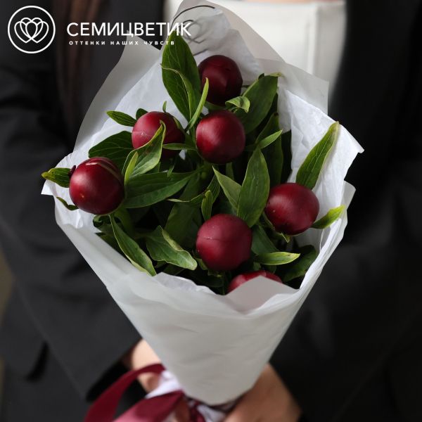 Букет из 7 бордовых пионов Standart Plus