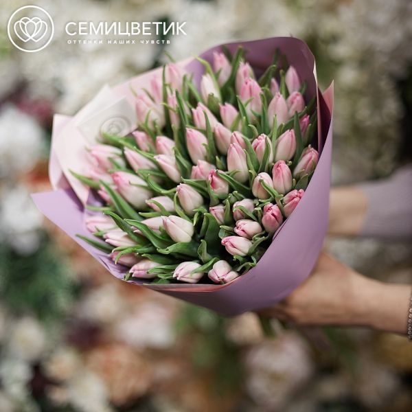 Букет из 51 нежно-розового тюльпана