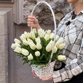 Композиция из 35 белых тюльпанов 40 см с фисташкой в корзине