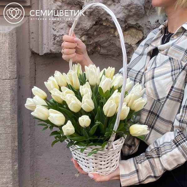 Композиция из 35 белых тюльпанов 40 см с фисташкой в корзине