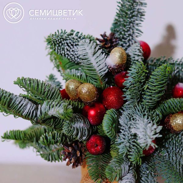 Композиция с елью в красных тонах в стакане