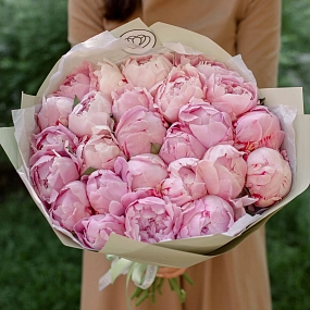 Букет из 25 розовых пионов Premium в зеленой пленке
