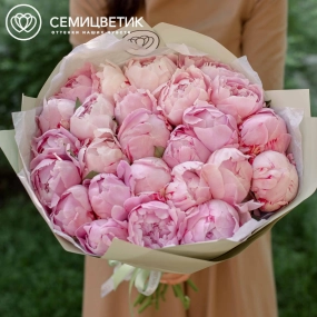 Букет из 25 розовых пионов Premium в зеленой пленке