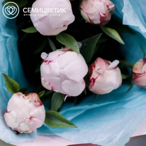 Букет из 9 розовых пионов Standart в розовой пленке