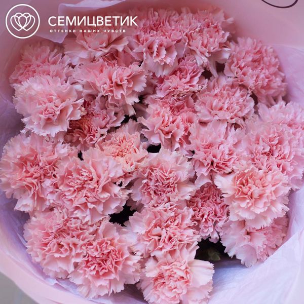 Букет из 25 розовых гвоздик