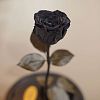 Черная роза в колбе 28 см