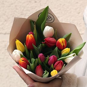 Букет из 15 тюльпанов микс 40 см в кремовой пленке