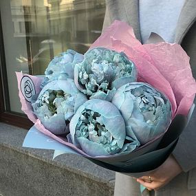 Букет из 5 голубых пионов Premium