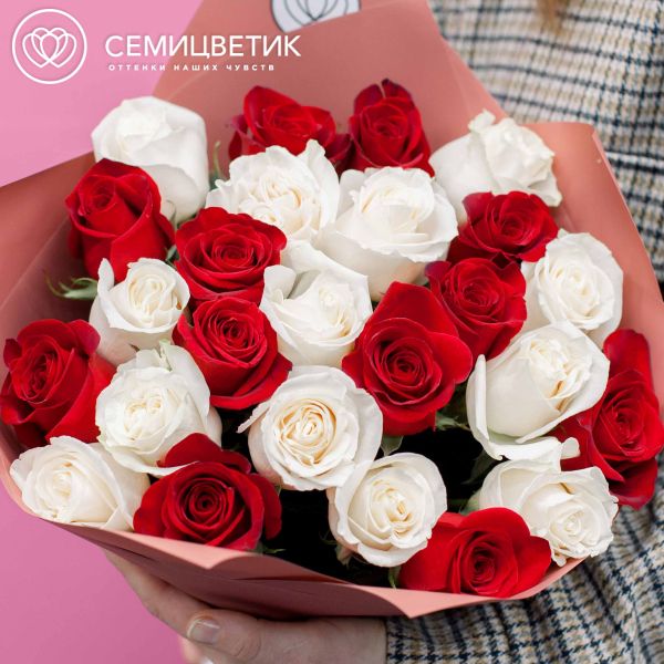 Букет из 25 белых и красных роз (Эквадор) 50 см в розовой пленке