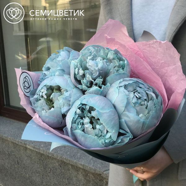 Букет из 5 голубых пионов Premium