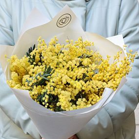 Букет из 9 мимоз