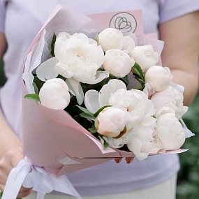 Букет из 11 нежно-розовых пионов Standart в розовой пленке