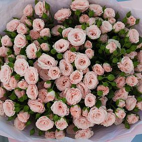 Букет из 21 нежно-розовой кустовой розы 40 см (Кения)