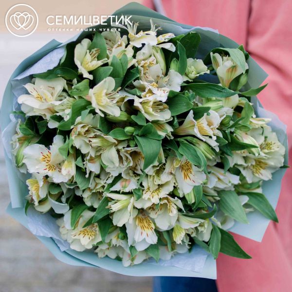 Букет из 25 белых альстромерий