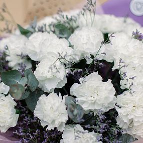 Букет из 25 белых гвоздик с зеленью