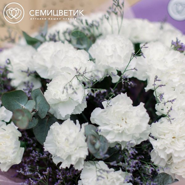 Букет из 25 белых гвоздик с зеленью
