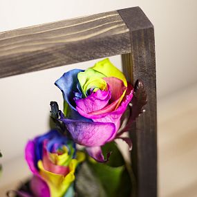 Деревянная рамка с радужными розами