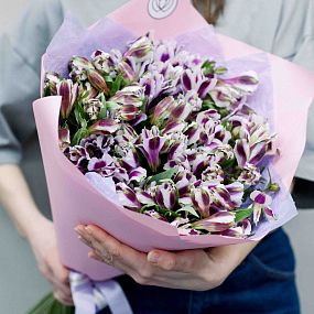 Свадебный букет  из 23 белых с фиолетовой каймой альстромерий