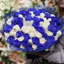 Букет из 71 белой и синей розы 60 см (Эквадор)