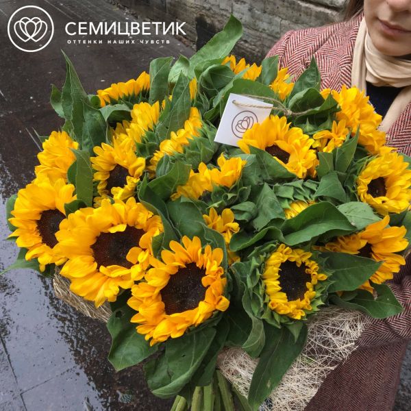 Букет из 25 подсолнухов