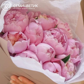 Букет из 11 розовых пионов Premium в розовой пленке