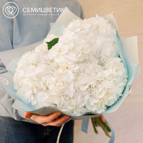 Букет из 7 белых гортензий