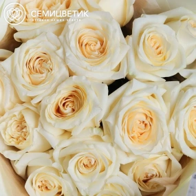 Букет из 15 белых роз Moonstone 50 см (Эквадор) в кремовой пленке