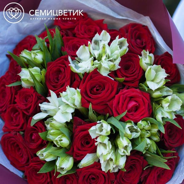 Букет из 26 красных роз 35-40 см (Россия) и 7 белых альстромерий