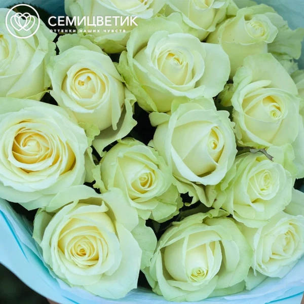 Букет из 15 белых роз 70 см (Россия)