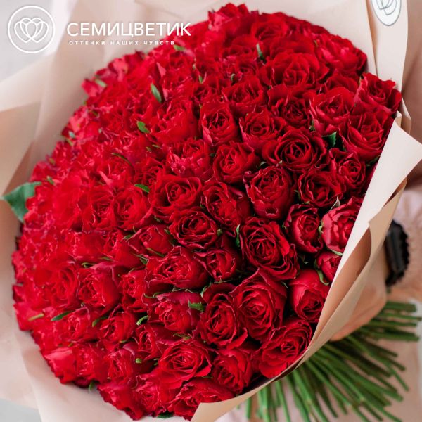 Букет из 101 красной розы (Кения) 40 см Standart в кремовой пленке