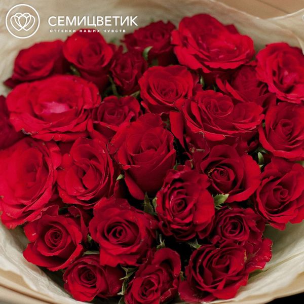 Букет из 25 красных роз 30 см (Кения)